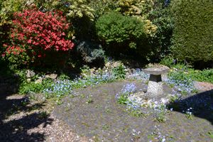 Front Garden- click for photo gallery